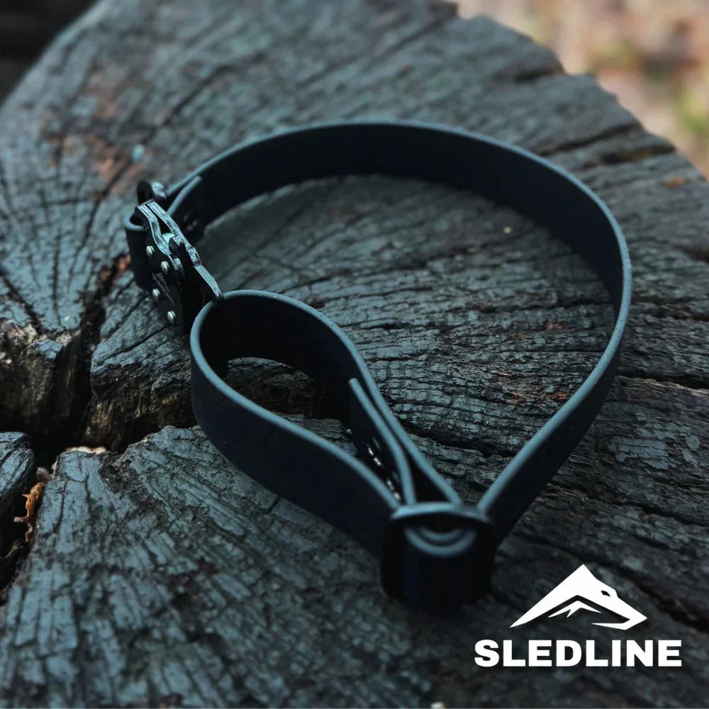 Biothane dog collar with metal hardware resting on a tree stump, outdoor setting