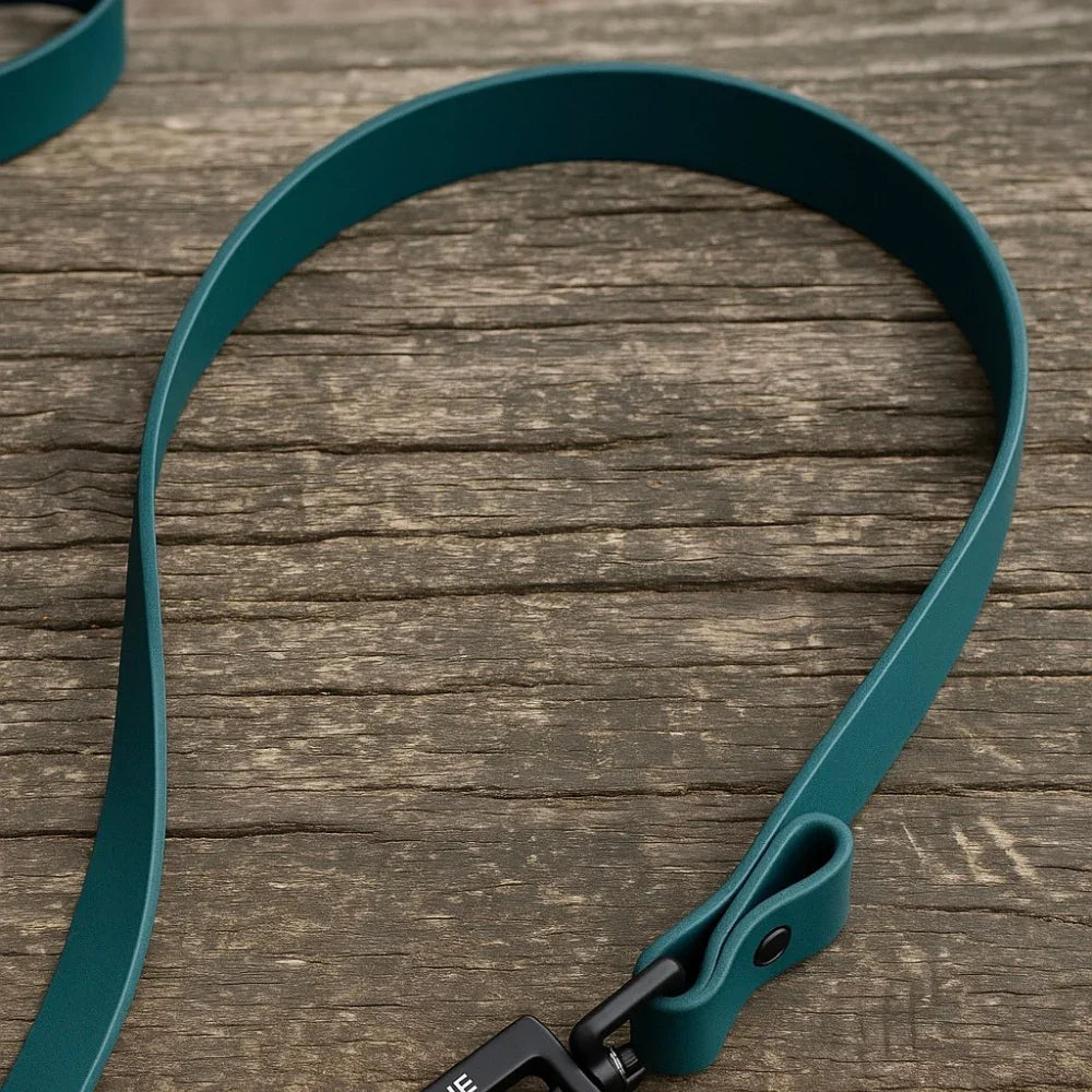Teal Biothane dog lead with metal clip on rustic wooden surface