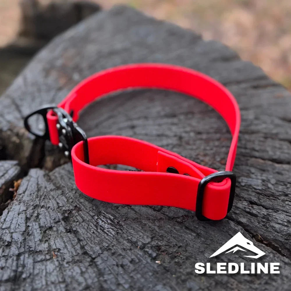 Red Biothane dog collar with black hardware on tree stump outdoors