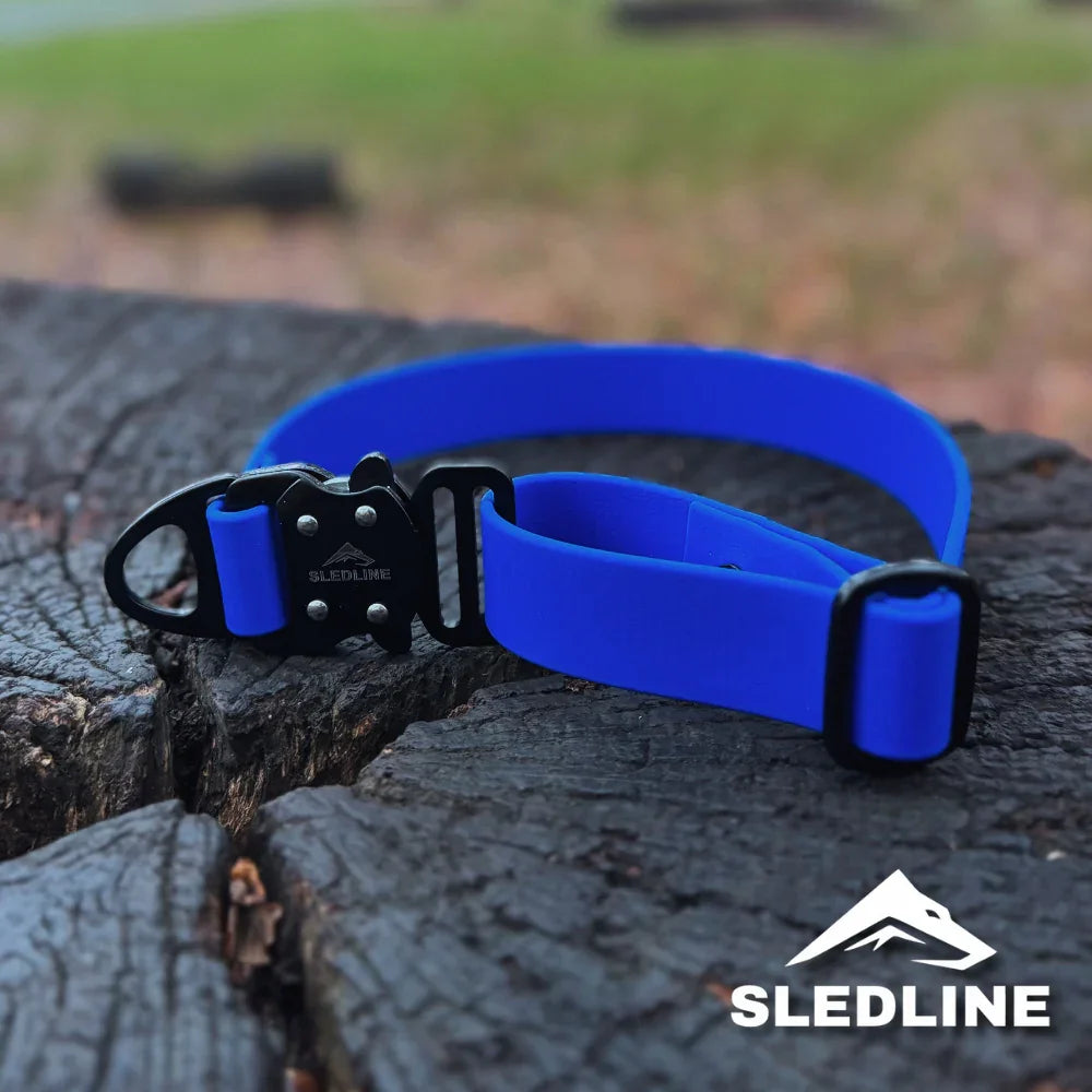 Blue Biothane dog collar with black hardware on tree stump outdoors