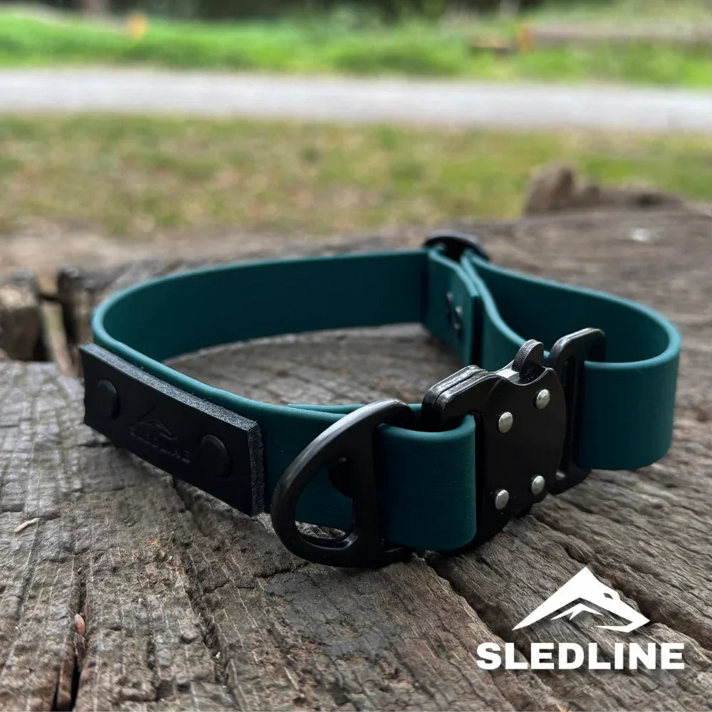 Biothane dog collar with black strength-tested hardware on rustic wooden surface