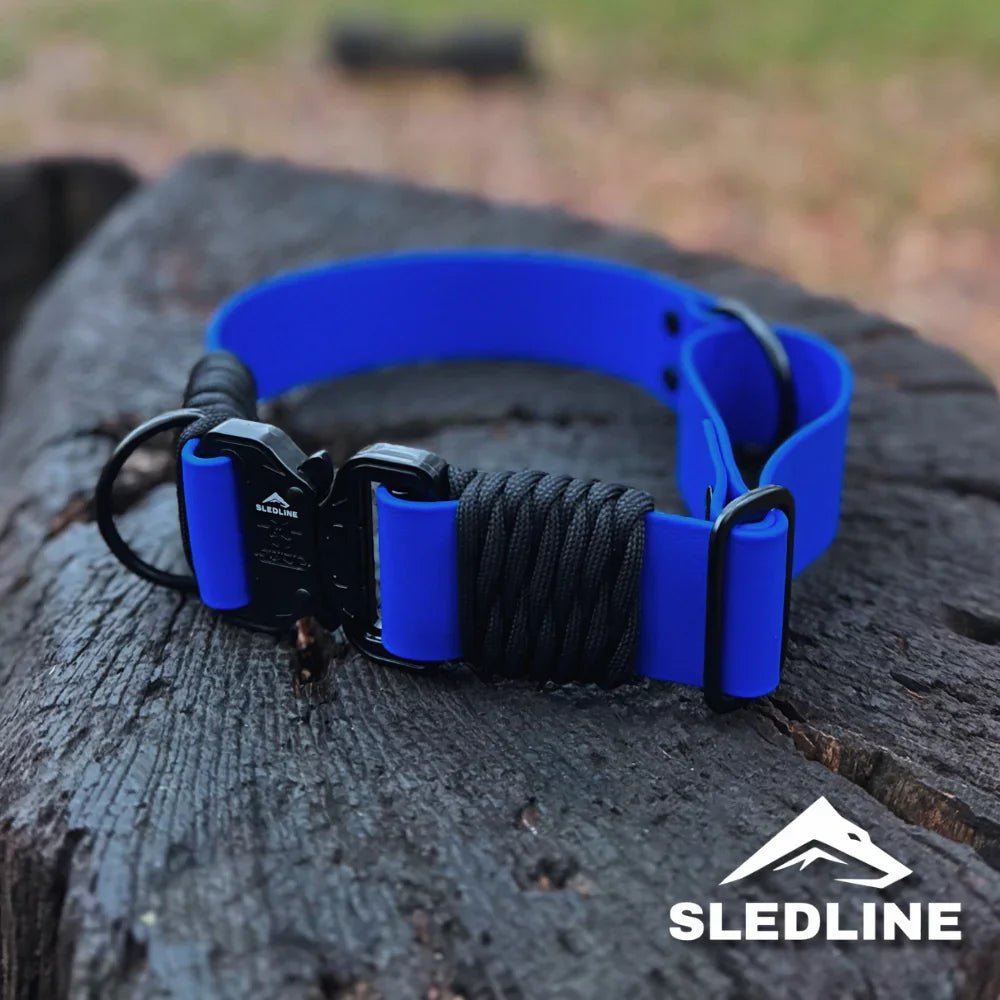 Blue Biothane dog collar with black rPET rope accent and metal hardware on wood surface