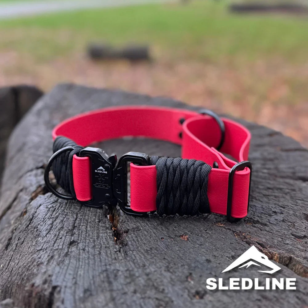 Handmade rPET rope and Biothane dog collar with black hardware on a tree stump outdoors.