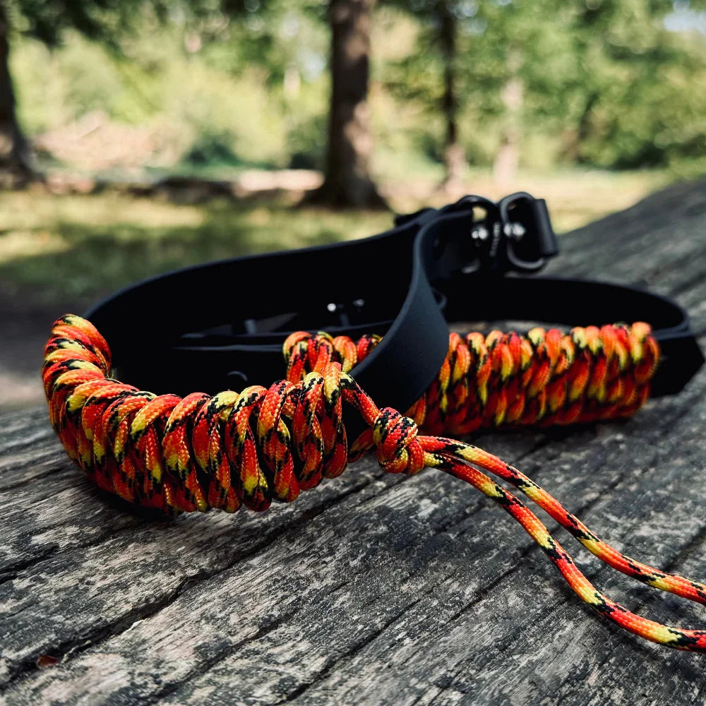 Handmade rPET rope dog lead with black Biothane collar in outdoor setting