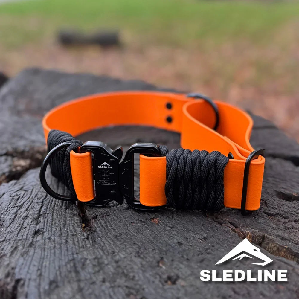 Orange and black Biothane dog collar with rPET rope detail and black hardware on wood