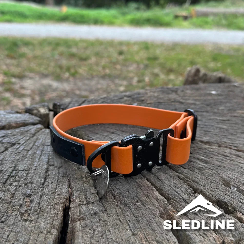 Biothane dog collar with black hardware, orange and black design on wooden surface outdoors
