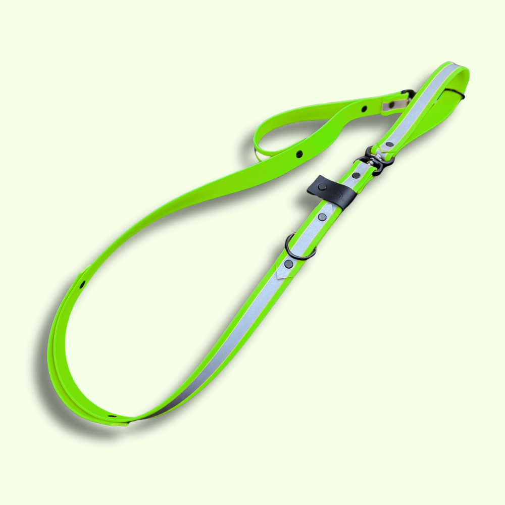 Biothane Reflector Dog Lead