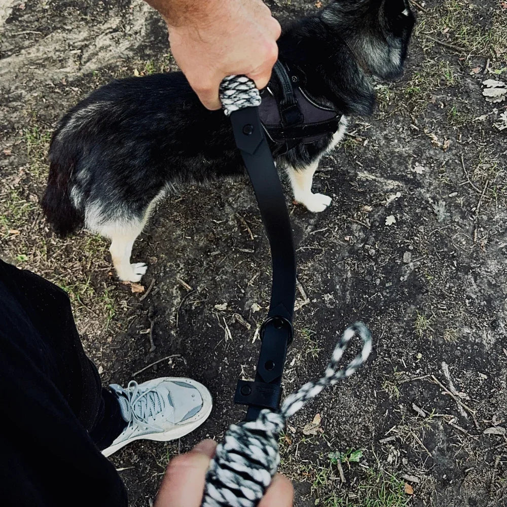 Hand holding rPET rope and Biothane dog lead attached to medium-sized black dog outdoors