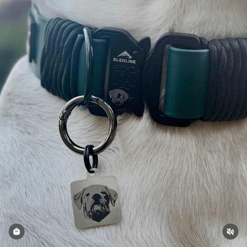 SLEDLINE ICONS - ID Tags
