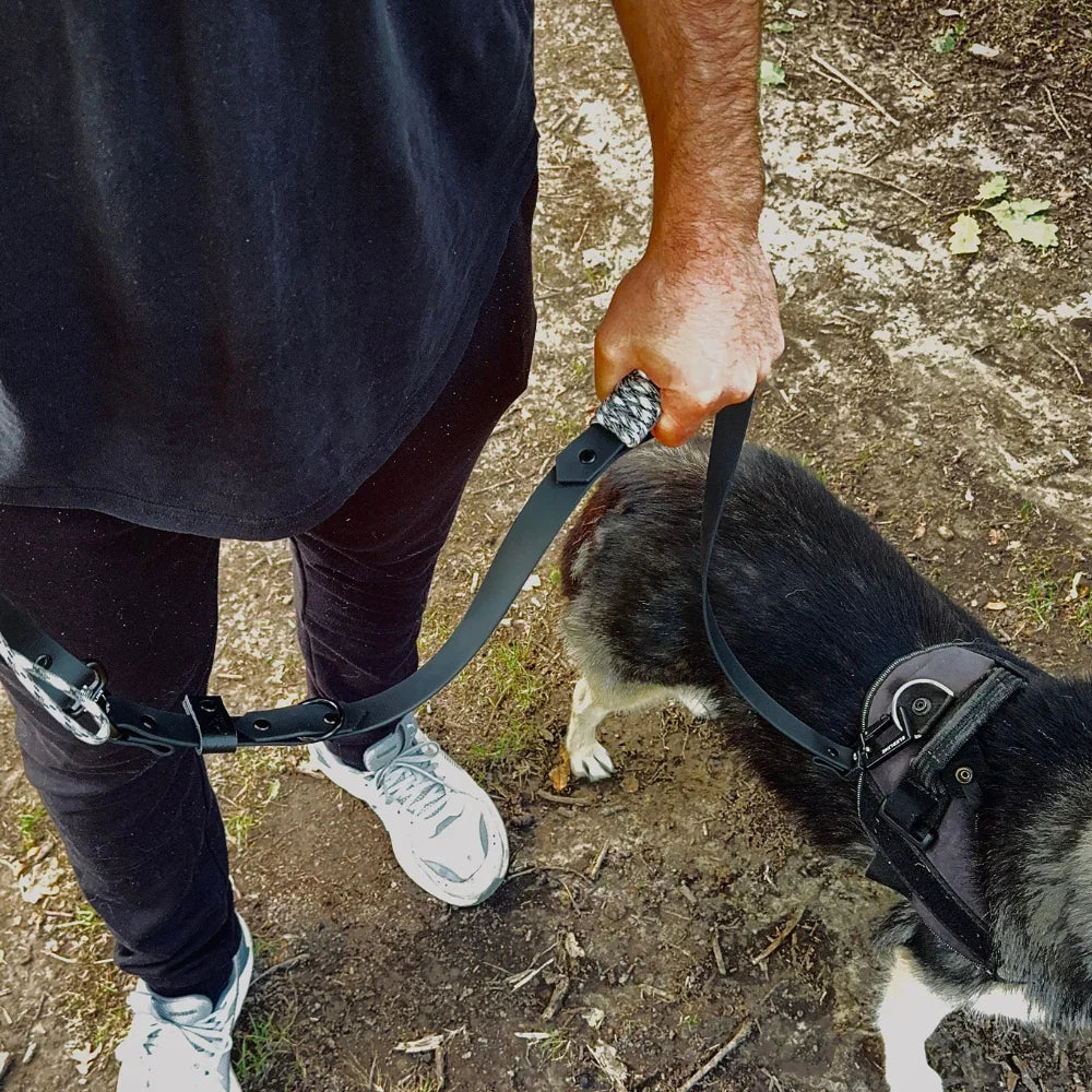 Hand holding rPET rope and Biothane dog lead attached to large dog outdoors