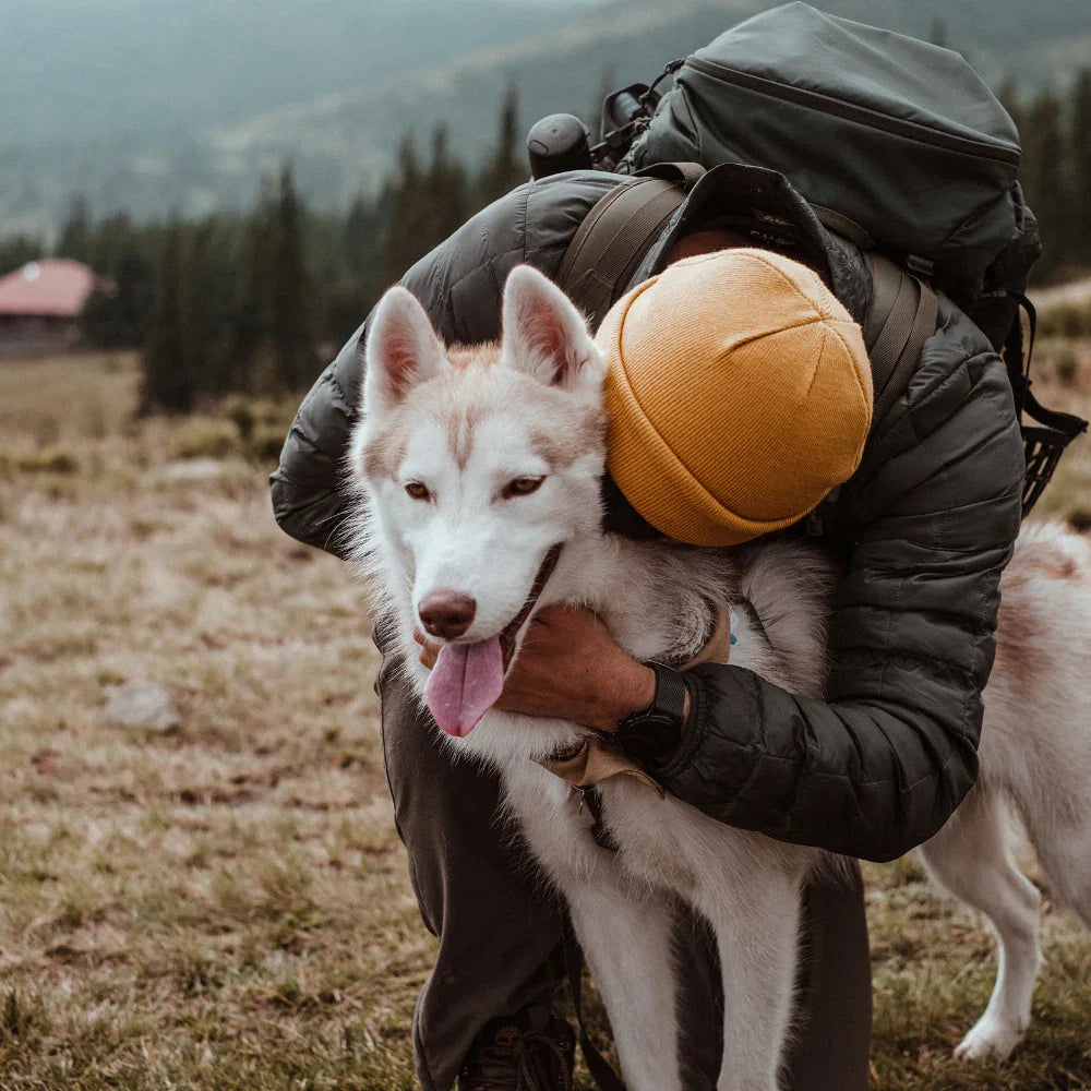 Husky wearing Biothane dog collar outdoors with owner hugging on a hiking trail