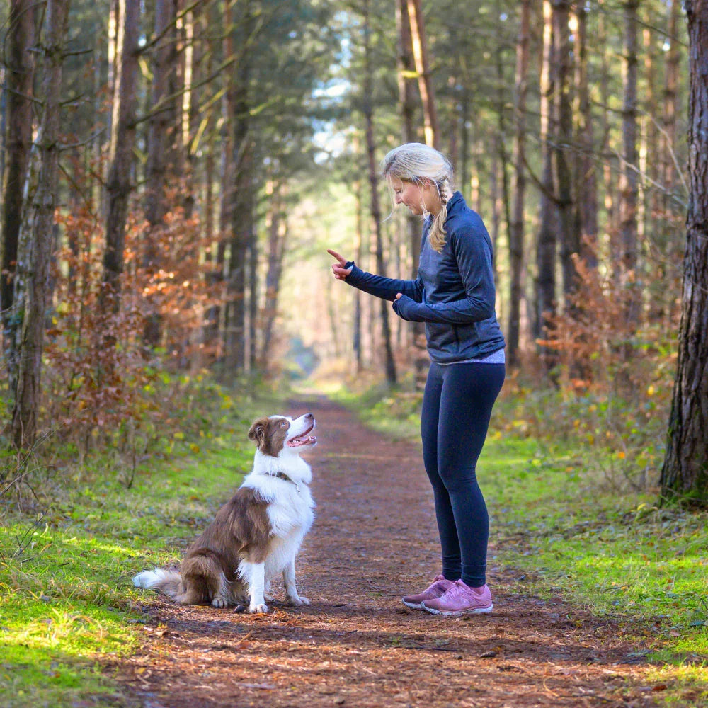 Woman training dog with premium rPET dog collar in a forest trail