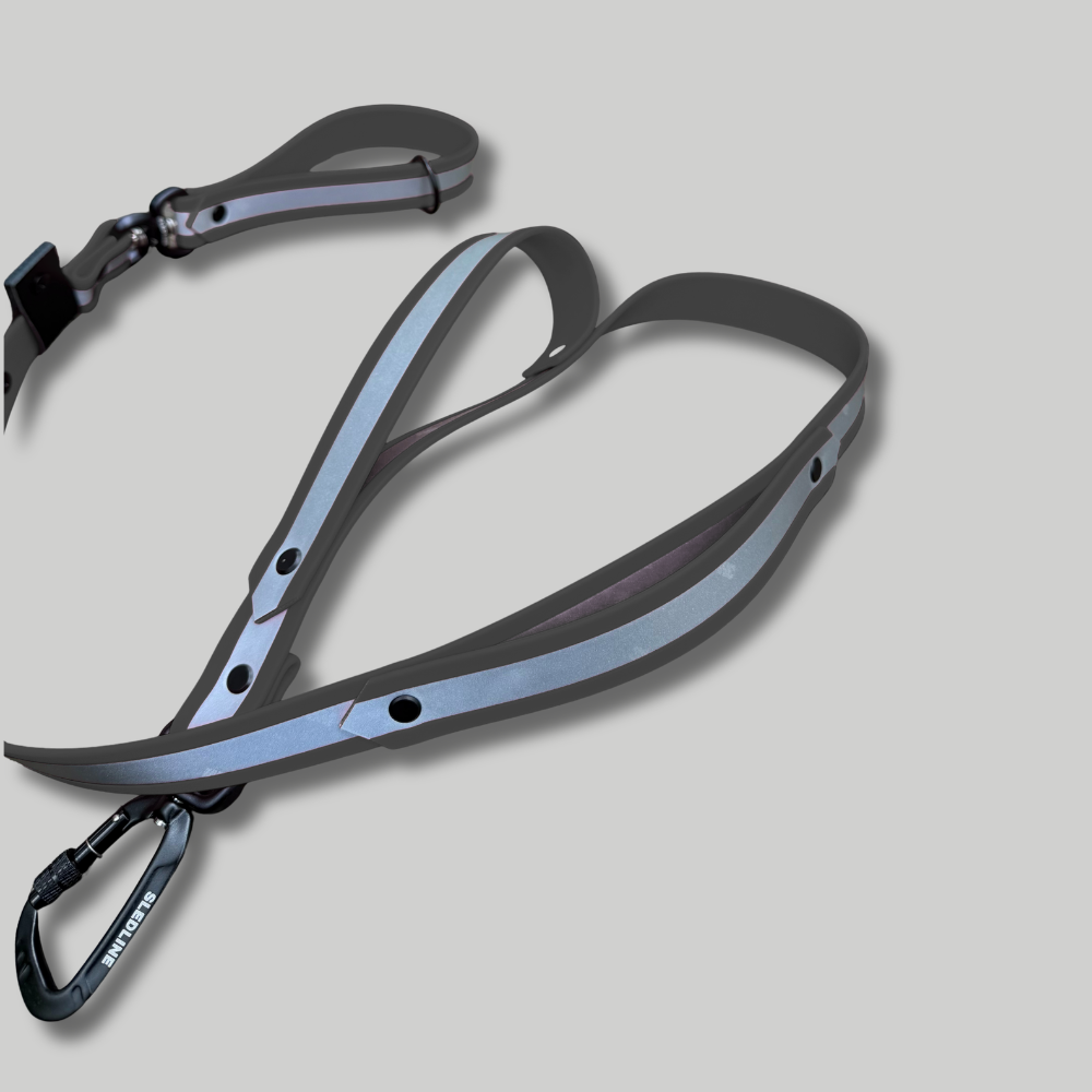 Biothane Reflector Dog Lead
