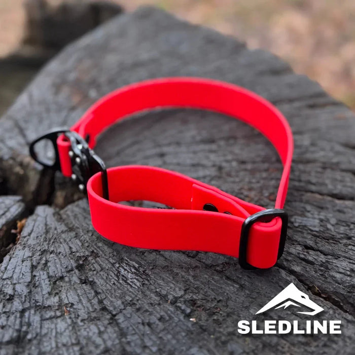 Red Biothane dog collar with black hardware on tree stump outdoors