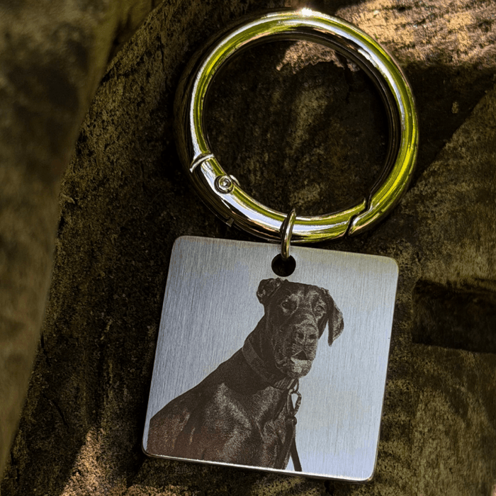 ID Tags
