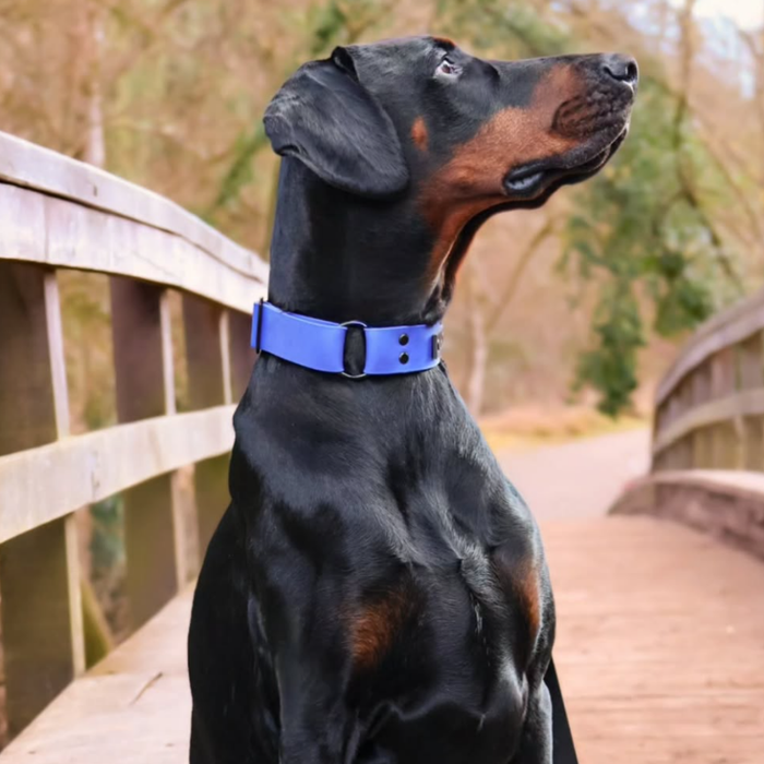 Collars