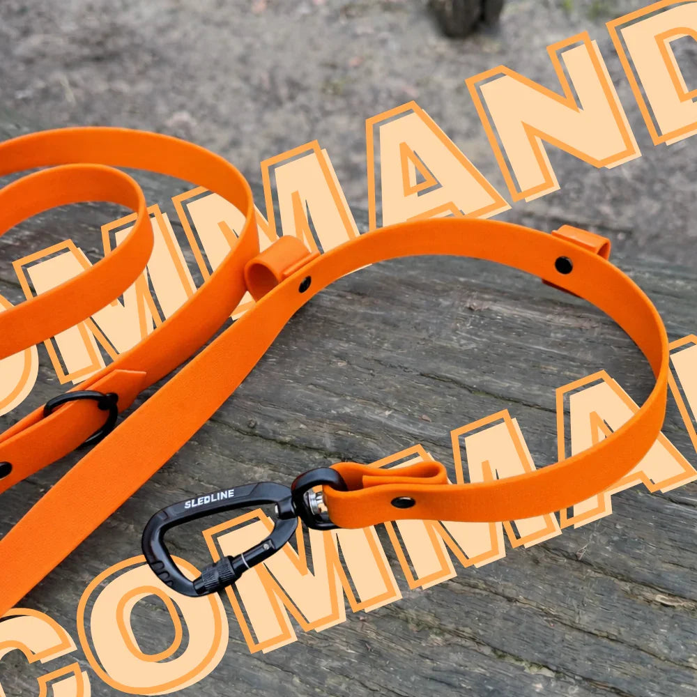 Orange Biothane dog lead with black hardware on wooden surface