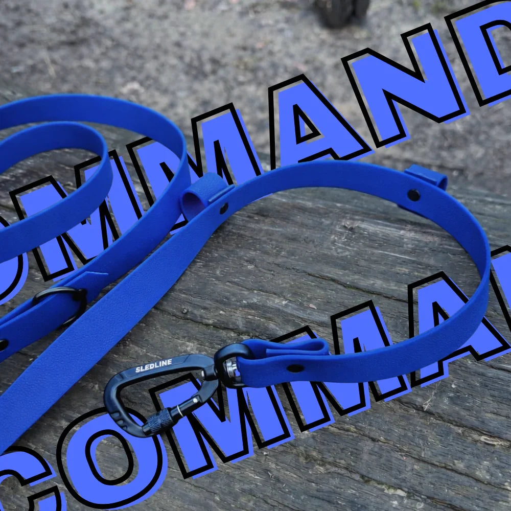 Blue Biothane dog lead with strength-tested hardware on wooden surface