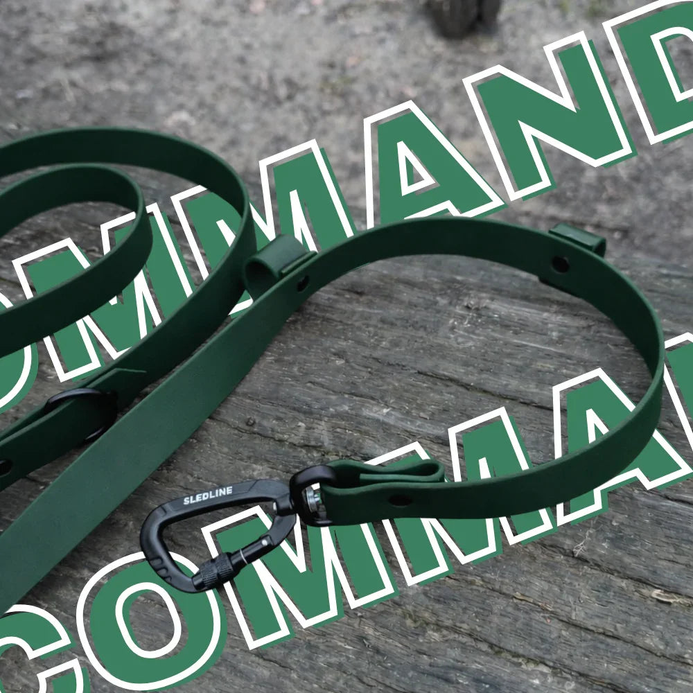 Green Biothane dog lead with sturdy black metal hardware on wooden surface