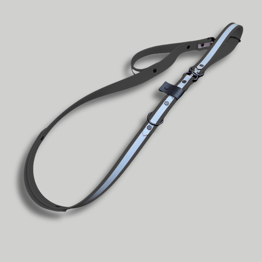 Biothane Reflector Dog Lead