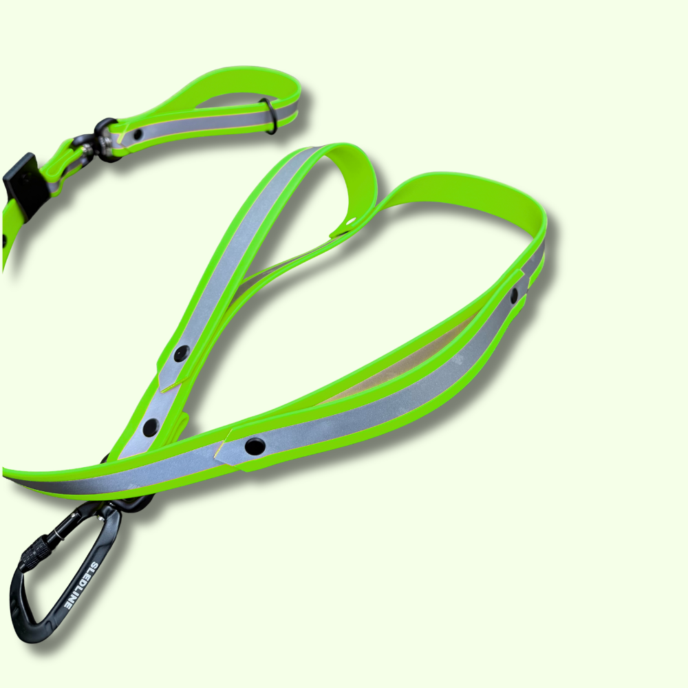 Biothane Reflector Dog Lead