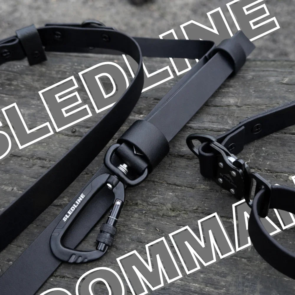 Black Biothane dog lead and collar with metal hardware on wooden surface