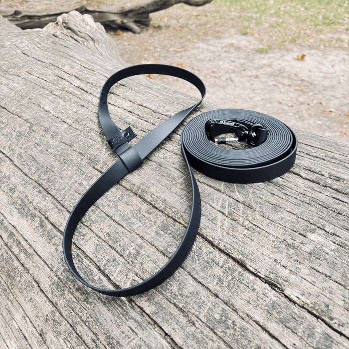 5m Longline Lead
